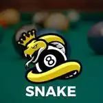     Snake 8 Ball Pool APK 